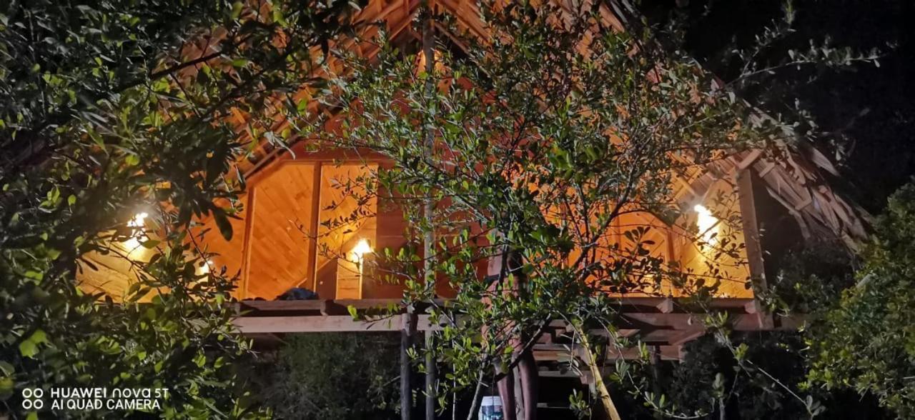 Mamba Yala Hotel Tissamaharama Exterior foto