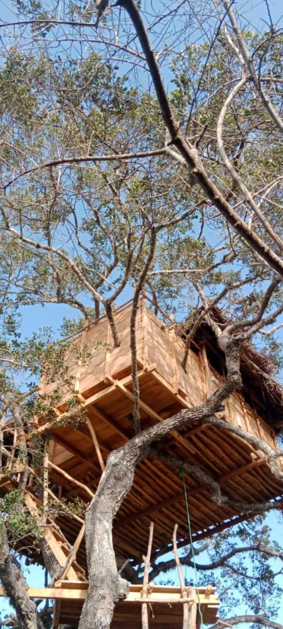 Mamba Yala Hotel Tissamaharama Exterior foto