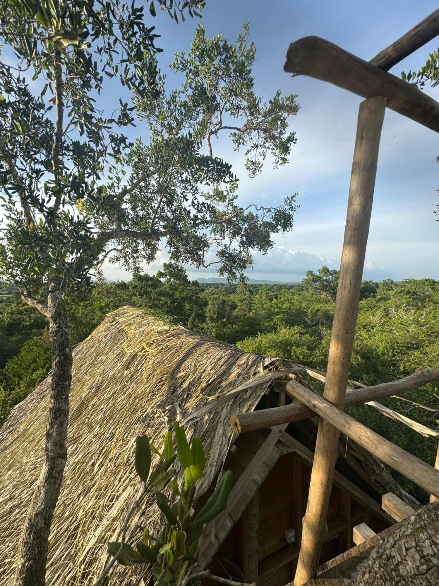 Mamba Yala Hotel Tissamaharama Exterior foto